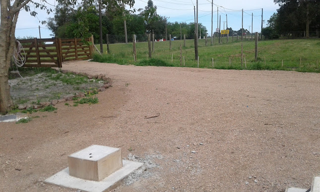 Claudia Amondaray - Gastronomía y hostelería