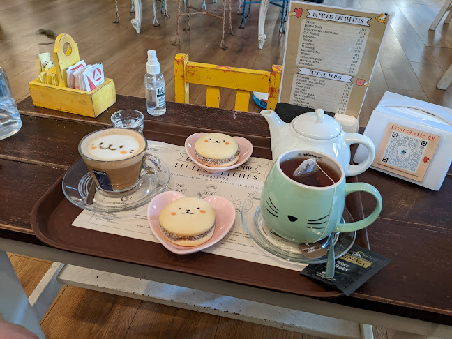 ADRIANUZCA'S CAT CAFÉ ☕🐈