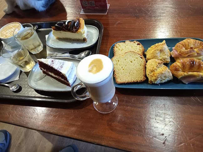 Telizzia Cat Café - Montevideo