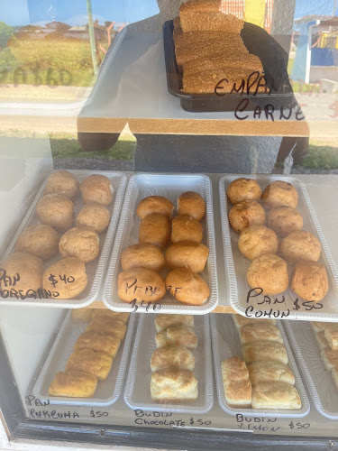 QUIOSCO DAIQUIRIS PIZZERIA MINUTAS TRAGOS GLUTEN FREE - Gastronomía y hostelería