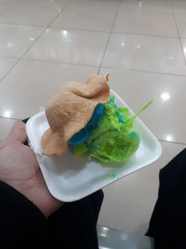 Departamento De Soriano Uruguay - Mercedes