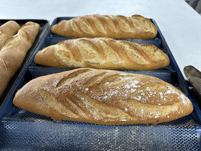 H54R+MM5, 70000 Col. del Sacramento, Departamento de Colonia