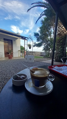 Freddo - Col. del Sacramento