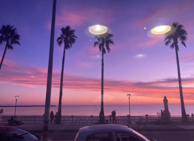 Terranova - Gastronomía y hostelería