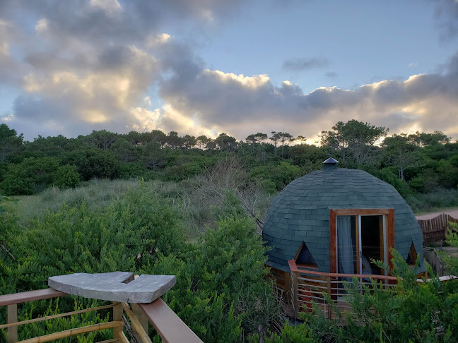 America Sativa Bar Grow - Gastronomía y hostelería