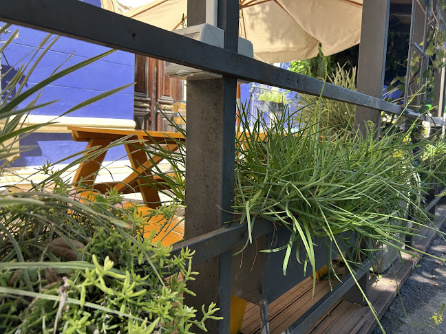 Pío Pío - Paysandú