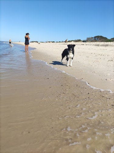 Arenas Del Pinar - Gastronomía y hostelería