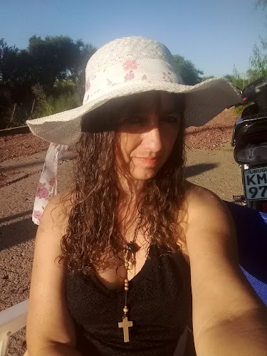 Comidas Al Paso Camio De Los Argentinos - Gastronomía y hostelería