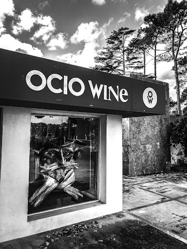 Ocio Wine