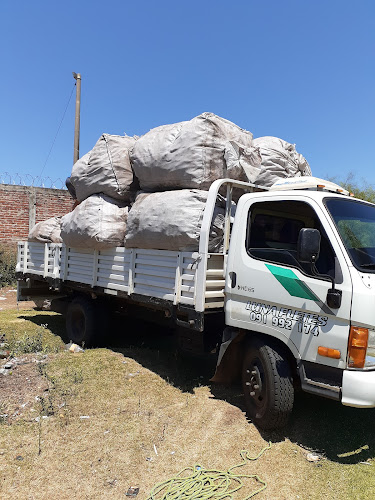 HGM7+PWJ, 55000 Artigas, Departamento de Artigas