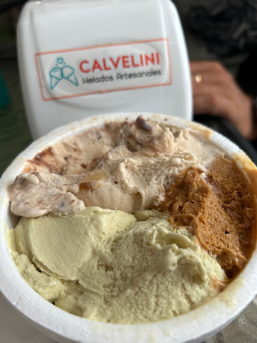 Comentarii opinii despre Heladería Calvelini