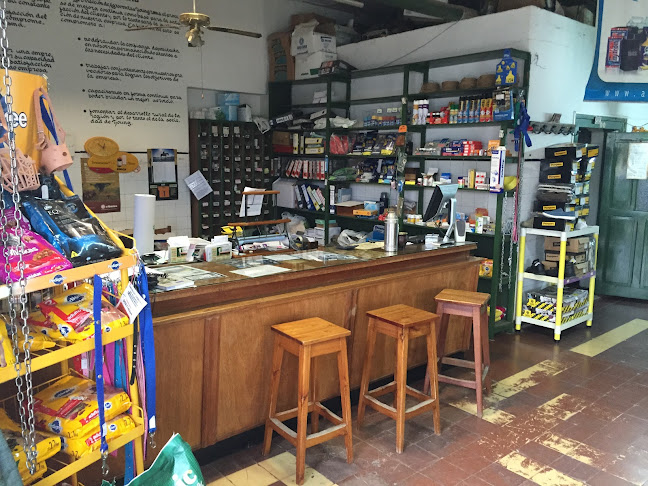 Comentarii opinii despre Agroventas Young