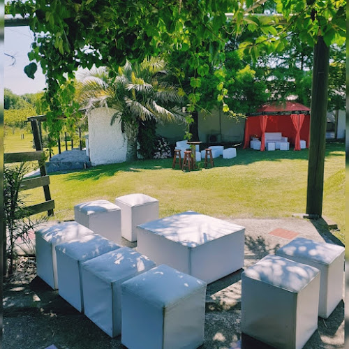 MundoArte Fiestas & Eventos