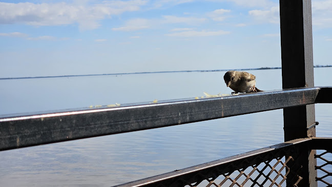 Comentarii opinii despre Resto Pizzería Al Timón