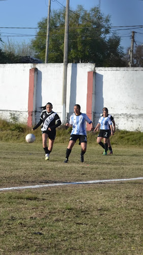 Comentarii opinii despre Grido helado