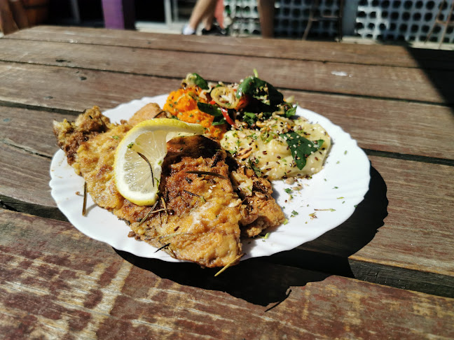 Lobo Hostel Bar - Rocha