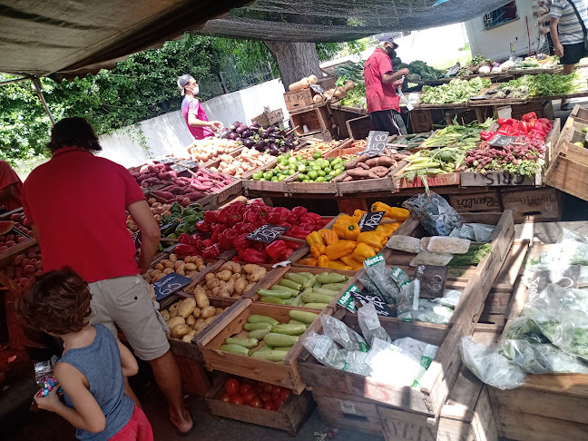 Brenda 5860, 11400 Montevideo, Departamento de Montevideo