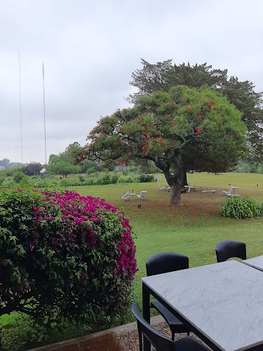 Las Liebres - Restaurante | Hotel - Gastronomía y hostelería