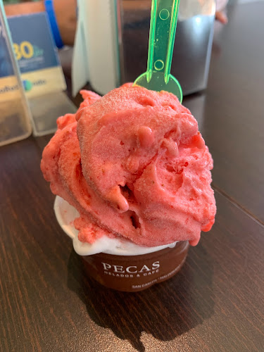 Pecas Punta del Este