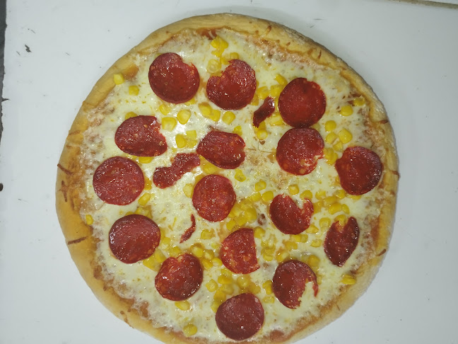 Pizzeria horno a leña