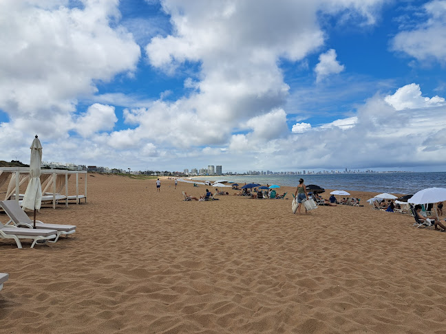 Parador 31 | Costero Beach Club (Rambla Mansa) - Gastronomía y hostelería