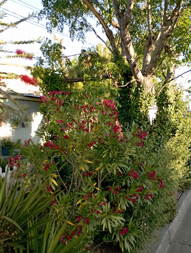 Opinii despre Panadería y Chiviteria Anubis în San José de Mayo - Gastronomía y hostelería