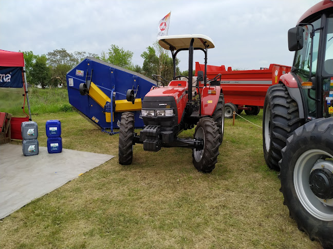 Opinii despre BAR MACHIN HERMANOS în Florida - Gastronomía y hostelería