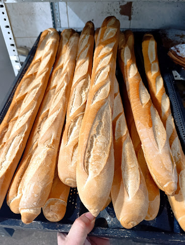 Panadería Rumbo - Maldonado