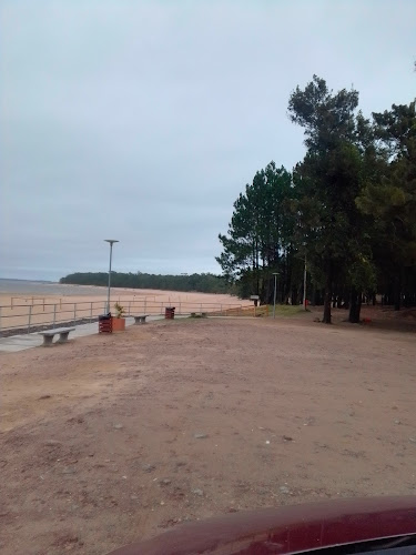 Comentarii opinii despre Panaderia Mi Pan centro