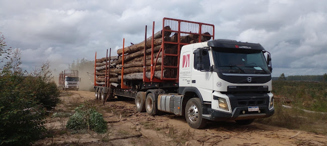 Opinii despre Mil Sabores Bonitos în Tacuarembó - Gastronomía y hostelería