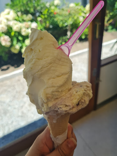 Opinii despre Gelateria Arlecchino în Punta del Este - Gastronomía y hostelería