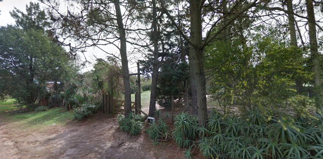 Bizcocheria Ave Fénix