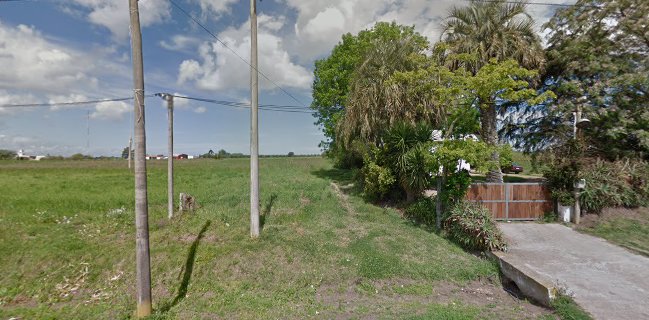 Comentarii opinii despre Don Apo