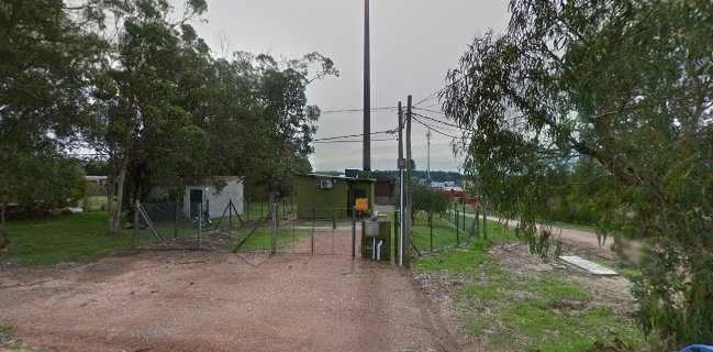 Los Castellanos Solo Delivery