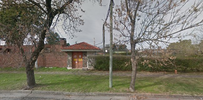 Carrito "il cucciolo"