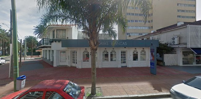 ADRIANUZCA'S CAT CAFÉ ☕🐈