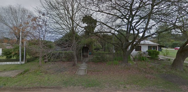 Puesto de Frutas y Verduras EL LARITA