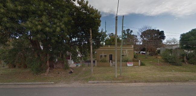 Caseritas Congelados