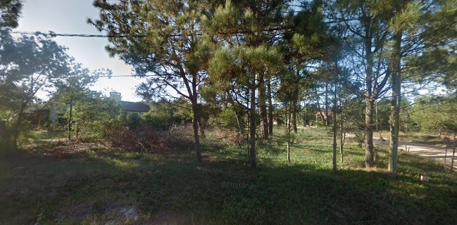 Mandalas Vegano-Vegetariano