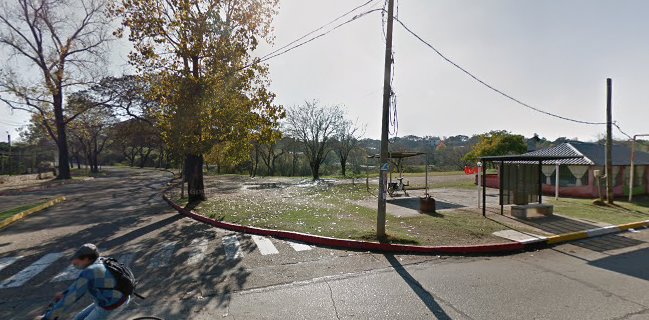 Locos por las papas fritas