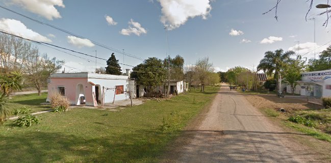 ALMACÉN NATURAL MIL SEMILLAS