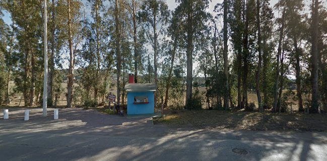 Alfajores Clásicos De Minas