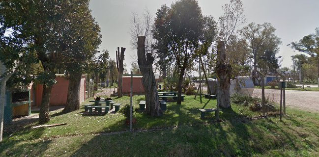 Carrito del camping Tío gordo