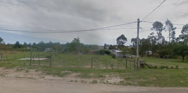 Jugos de Naranja de Salto