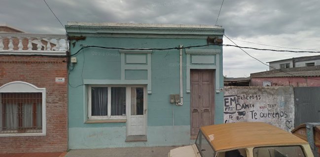 Entre Lunas y Troncos