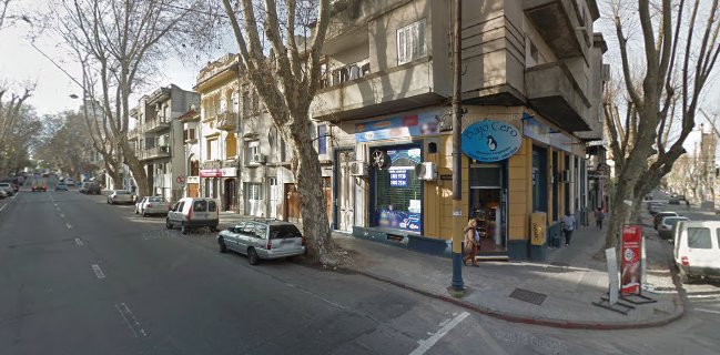 Bajo Cero Congelados