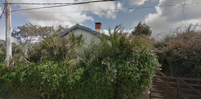 El kraken Hamburguesas