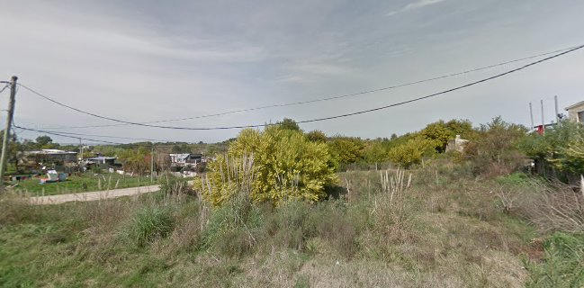 Pizzería "El buen gusto"