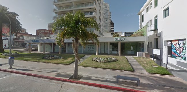 Papirosen Café | Cafetería de Especialidad