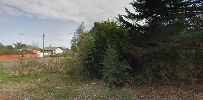 Opinii despre Súarez Arte y Pizzas în El Tesoro - Gastronomía y hostelería